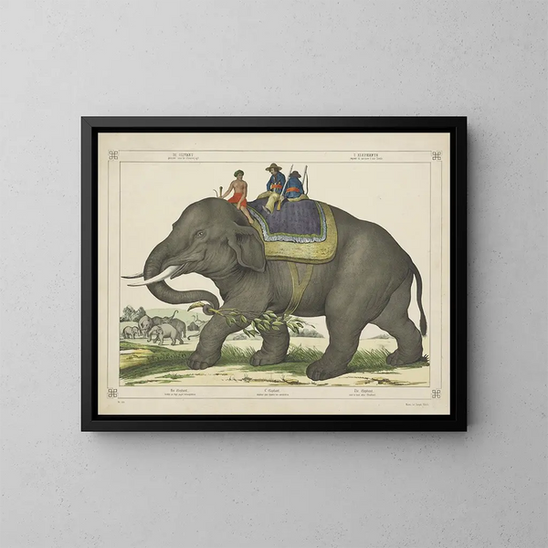 L'Elefant jagte andere Elefanten - Joseph Scholz — gerahmtes Bild an der Wand