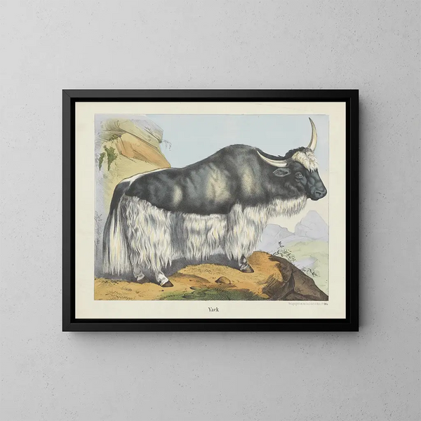 Yack - Joseph Scholz — gerahmtes Bild an der Wand