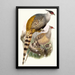 Phasianus Wallichii - Joseph Smit — gerahmtes Bild an der Wand