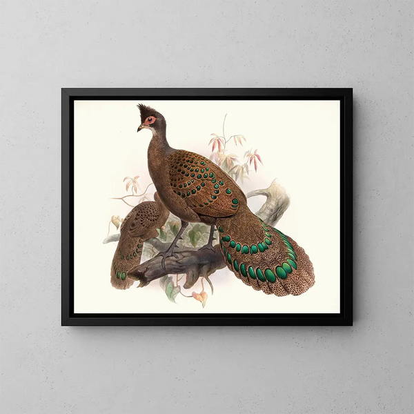 Huhn mit doppelten Kielen - Joseph Smit — gerahmtes Bild an der Wand