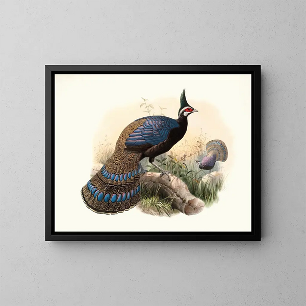 Polyplectron emphanum - Joseph Smit | Gemälde — gerahmtes Bild an der Wand