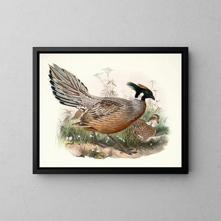 Purcasie de Darwin - Joseph Smit — gerahmtes Bild an der Wand