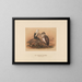 Le vautour angolais - Joseph Wolf — gerahmtes Bild an der Wand