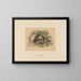 Les Bassaris - Joseph Wolf — gerahmtes Bild an der Wand