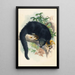 Der Binturong - Joseph Wolf — gerahmtes Bild an der Wand