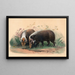 Der Wildschwein - Joseph Wolf — gerahmtes Bild an der Wand