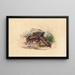 La Clotho - Joseph Wolf — gerahmtes Bild an der Wand
