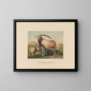 Joseph Wolf - The Leucoryx Antelope.webp