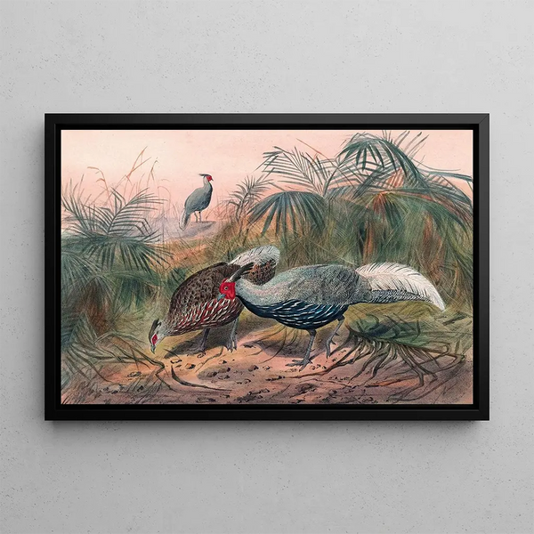 Joseph Wolf - The Lineated Pheasant.webp