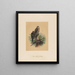 Der heilige Falke - Joseph Wolf — gerahmtes Bild an der Wand