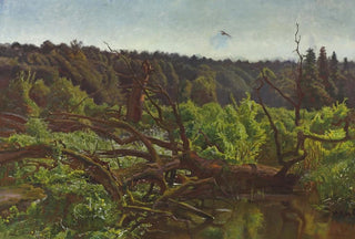 Jozef Chelmonski - Deep forest Windthrows.webp