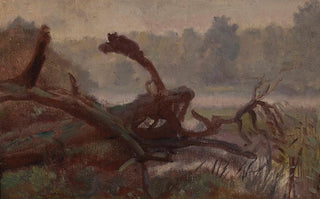 Jozef Chelmonski - Deep forest Windthrows sketch for a painting.webp