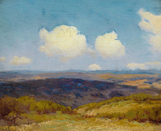 Schatten fliegen - Julian Onderdonk — Ansicht des Kunstwerks