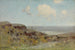 Hügel mit Felsen und ruhiger Becken - Julian Onderdonk — Ansicht des Kunstwerks