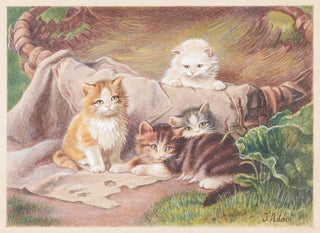 Katzen beim Spielen - Julius Adam der Ältere — Ansicht des Kunstwerks