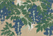 Glycine Fuji - Kamisaka Sekka — Ansicht des Kunstwerks
