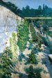 Garten in Grez - Karl Nordström — Ansicht des Kunstwerks