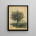 Baum mit laubabwerfenden Blättern ohne Titel in einer Landschaft - Karl Wiener — gerahmtes Bild an der Wand