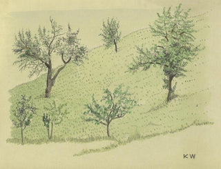 Unbenanntes Gemälde, Laubbäume auf Hügel - Karl Wiener — Ansicht des Kunstwerks