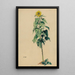 Sonnenblume - Karl Wiener — gerahmtes Bild an der Wand