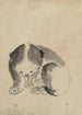 Ein Katze, die ihre Krallen putzt - Katsushika Hokusai — Ansicht des Kunstwerks