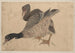 Skizzenbuch von ihm und seinen Schülern Pl. 37 - Katsushika Hokusai — Ansicht des Kunstwerks