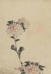 Katsushika Hokusai Blumenrosen auf einem niedrigen Stiel und zwei auf einem hohen Stiel — Ansicht des Kunstwerks