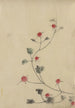 Kleine rote Blumen auf einer Weinrebe - Katsushika Hokusai — Ansicht des Kunstwerks