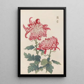 Keika Hasegawa - Keika hyakugiku Pl23.webp