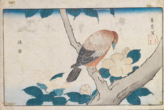 Kitao Masayoshi - Untitled.webp