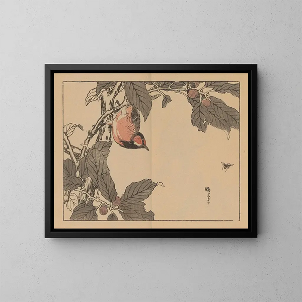 Kono Bairei Kunstdruck, Planche 16 - Bairei — gerahmtes Bild an der Wand