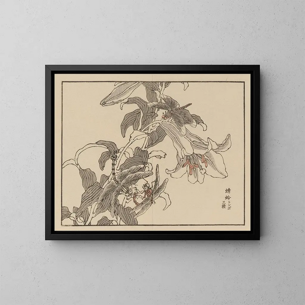 Kono Bairei Kunstdruck, Planche 52 - Bairei — gerahmtes Bild an der Wand