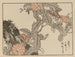 Bairei gafu Pl. 54 - Kono Bairei — Ansicht des Kunstwerks