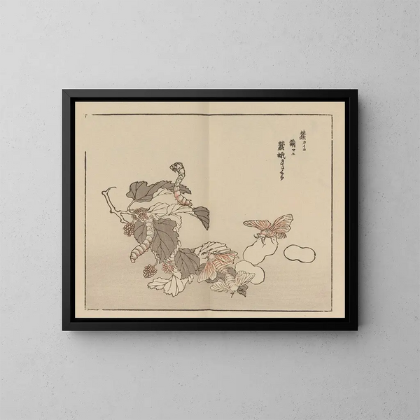 Bairei gafu Pl. 62 - Kono Bairei — gerahmtes Bild an der Wand