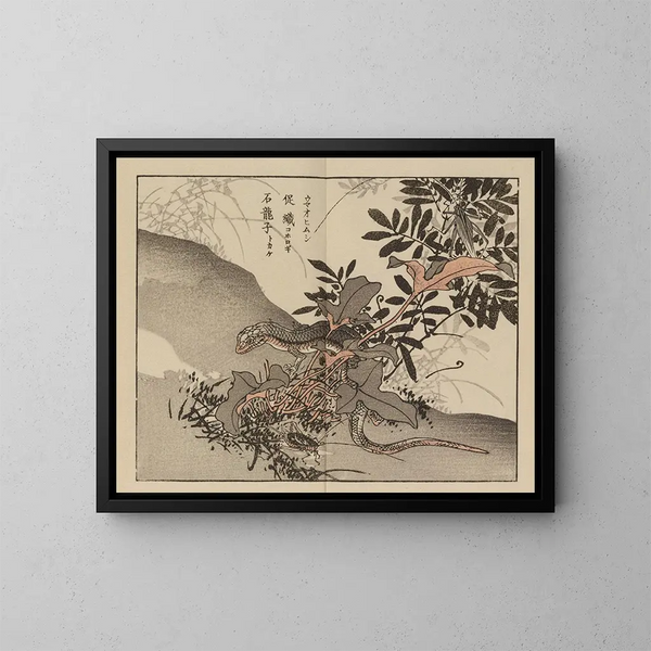 Kono Bairei Kunstdruck, Platte 66 - Bairei — gerahmtes Bild an der Wand