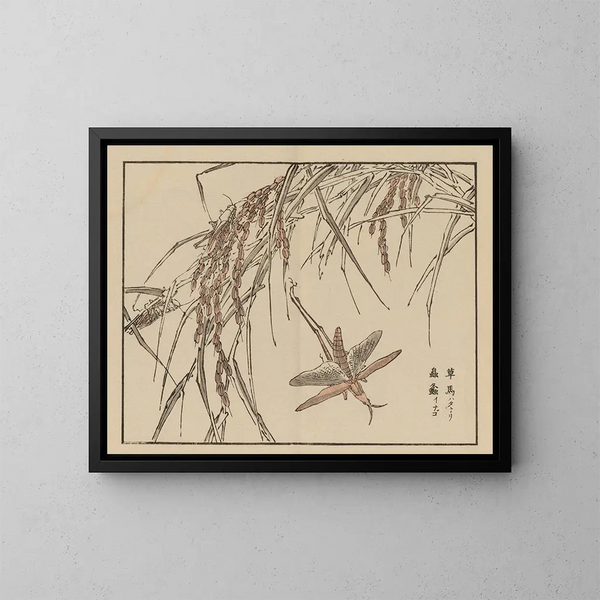 Kono Bairei Kunstdruck, Planche 72 - Bairei — gerahmtes Bild an der Wand