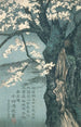 Der Krieger Taira no Tadanori im Begriff, unter einem Kirschbaum zu schlafen - Kobayashi Kiyochika — Ansicht des Kunstwerks