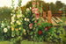 Mohnblumen - Konstantin Yakovlevich Kryzhitsky — Ansicht des Kunstwerks