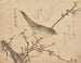 Fauvette sur une branche de prunier - Kubo Shunman — Ansicht des Kunstwerks