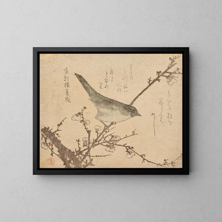 Kubo Shunman - Warbler on plum branch.webp