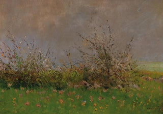 Ladislav Mednynszky - A Flower Meadow.webp