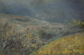 Ladislav Mednynszky - Motif from the Belianske Tatra.webp