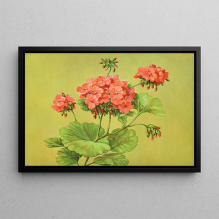 Lafayette F Cargill - Scarlet Geranium.webp