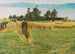 Erntezeit in Ladby - Laurits Andersen Ring — Ansicht des Kunstwerks