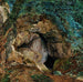 Der Drachen-Tempel - James Campbell — Ansicht des Kunstwerks
