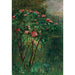 Reproduktion des Gemäldes Le Rosier Fleuri - Gustave Caillebotte