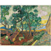 Reproduktion des Gemäldes Der Garten des Krankenhauses Saint-Paul - Vincent van Gogh
