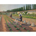 Reproduktion des Gemäldes Die Gärtner - Gustave Caillebotte