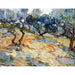 Reproduktion des Gemäldes Les Oliviers - Vincent Van Gogh