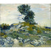 Reproduktion des Gemäldes Die Felsen - Vincent van Gogh